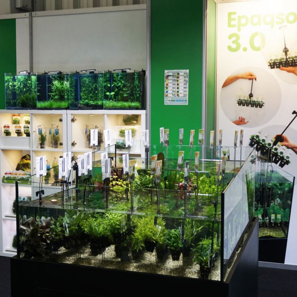 Stand 5 Interzoo2016.jpg