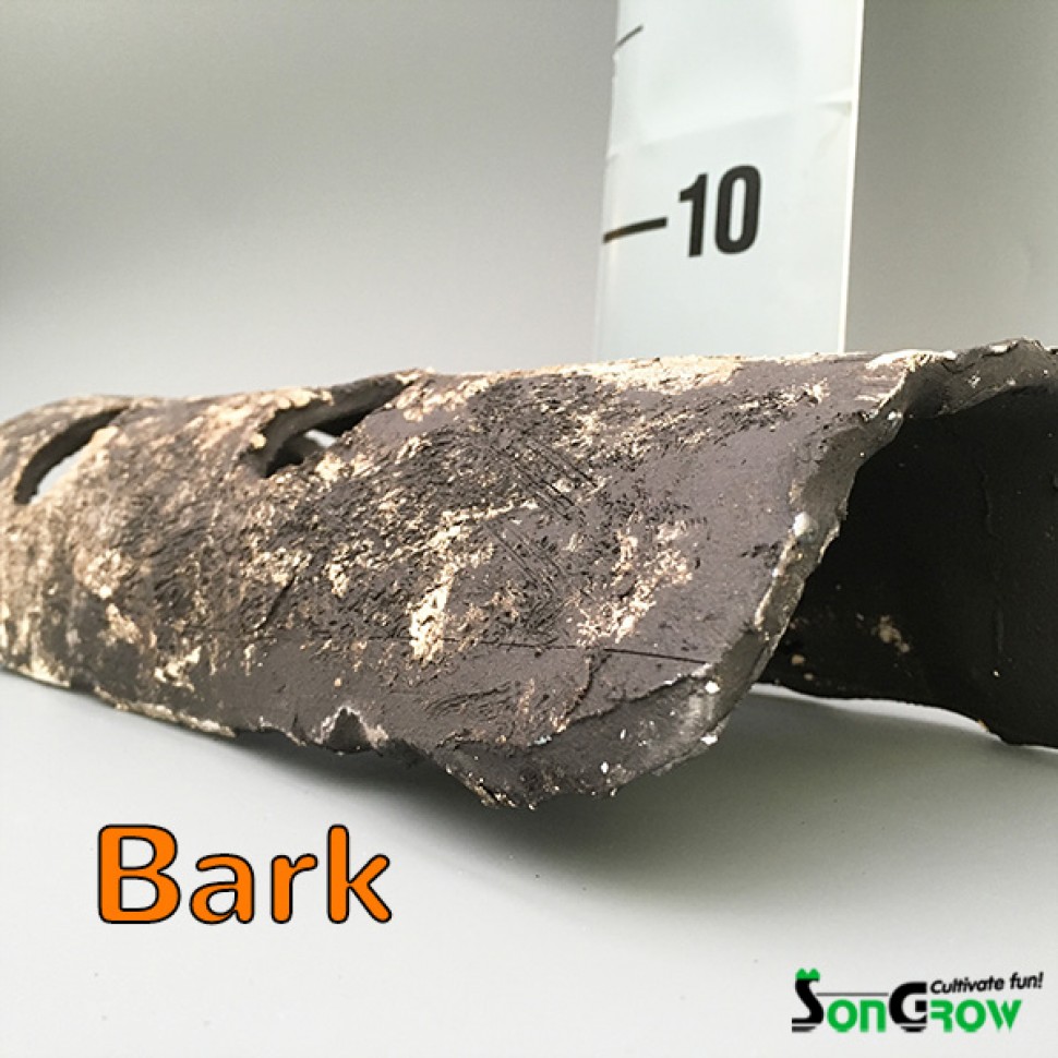 4724 bark.jpg