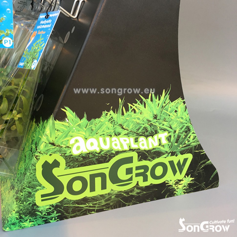logo aquaplant1.jpg