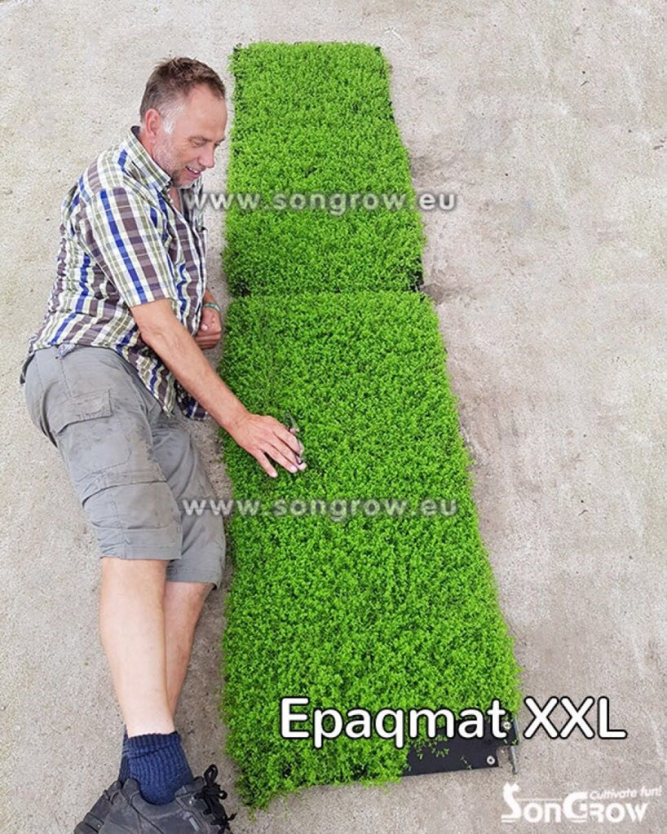 epaqmat xxl met bert.jpg