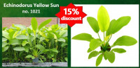 mailbanner.jpg